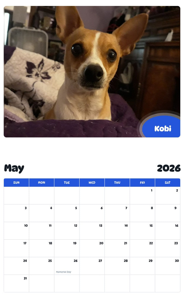 2026 - 2027 Kobi - Pawidols Pet Calendar