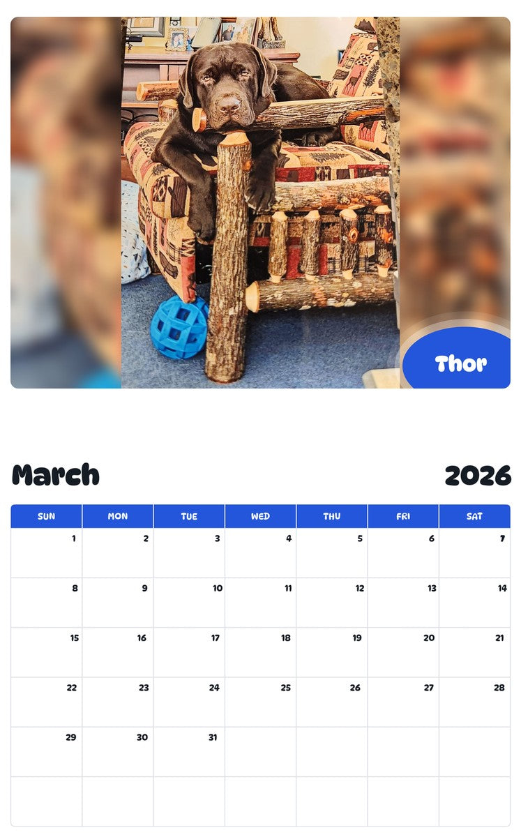 November 2025 - October 2026 Thor - Pawidols Pet Calendar