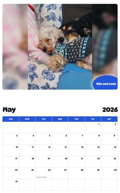 2026 - 2027 Milo and Lady - Pawidols Pet Calendar