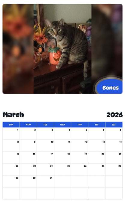 November 2025 - October 2026 Bones - Pawidols Pet Calendar