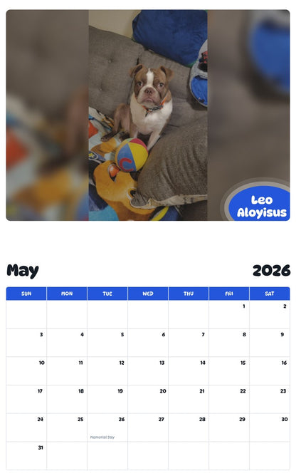 2026 - 2027 Leo Aloyisus - Pawidols Pet Calendar