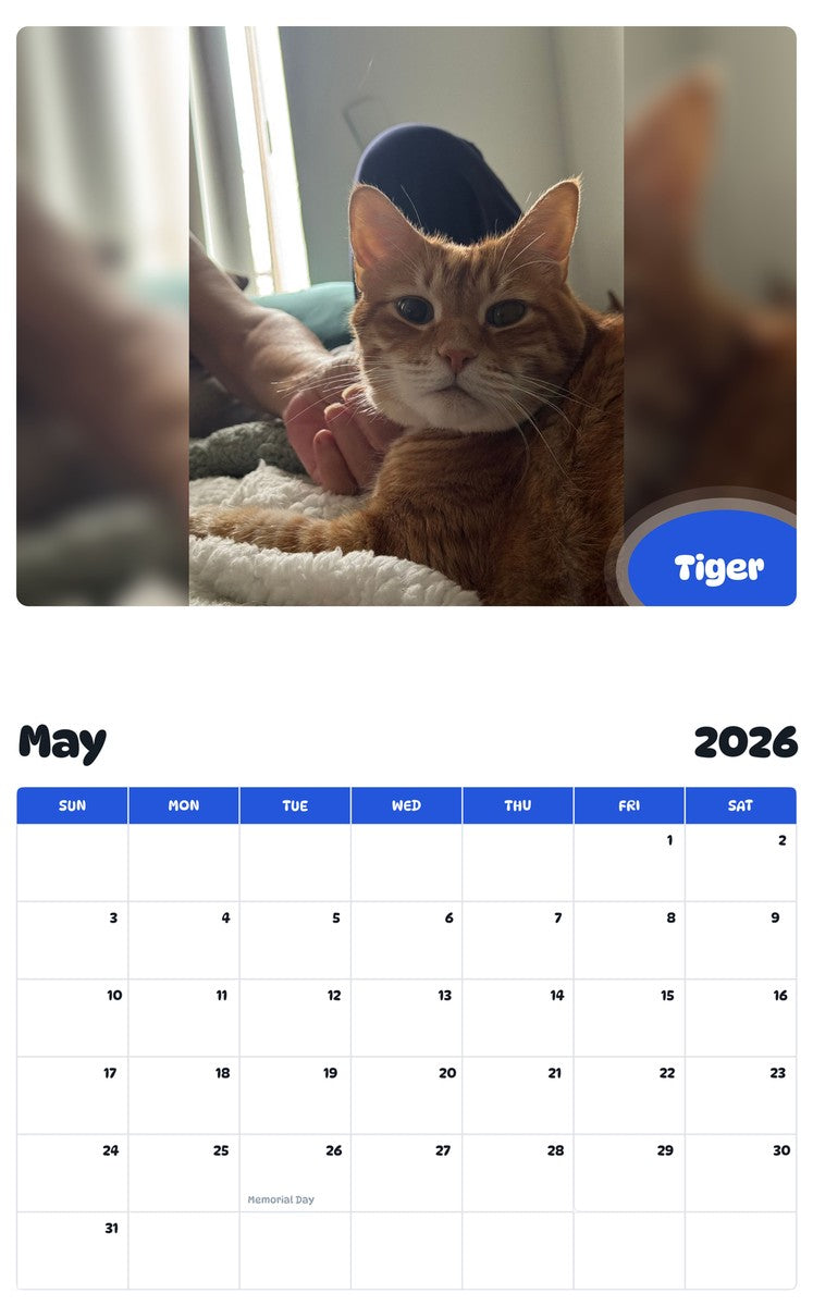 2026 - 2027 Tiger - Pawidols Pet Calendar