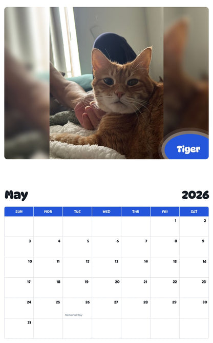 2026 - 2027 Tiger - Pawidols Pet Calendar