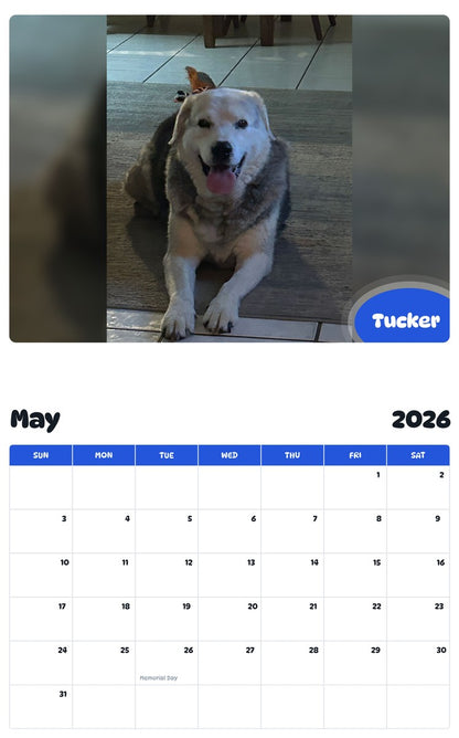 2026 - 2027 Tucker - Pawidols Pet Calendar