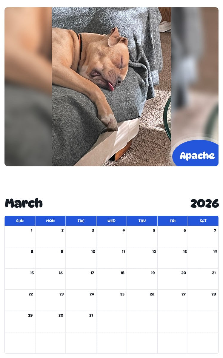 November 2025 - October 2026 Apache - Pawidols Pet Calendar