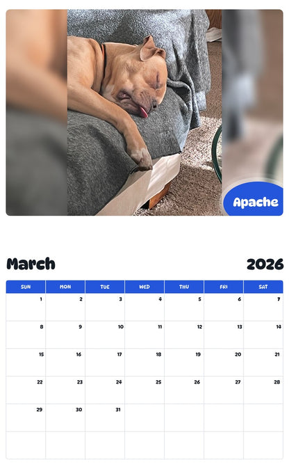 November 2025 - October 2026 Apache - Pawidols Pet Calendar