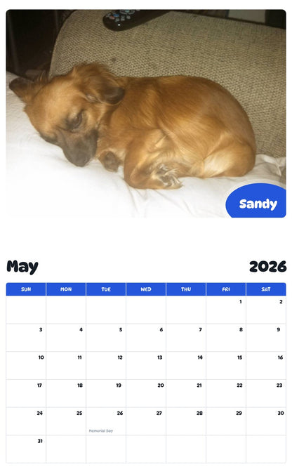2026 - 2027 Sandy - Pawidols Pet Calendar
