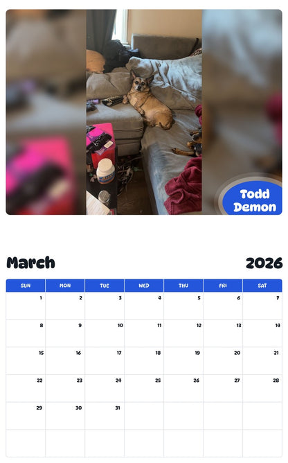 November 2025 - October 2026 Todd Demon - Pawidols Pet Calendar
