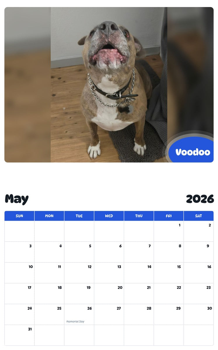 2026 - 2027 Voodoo - Pawidols Pet Calendar