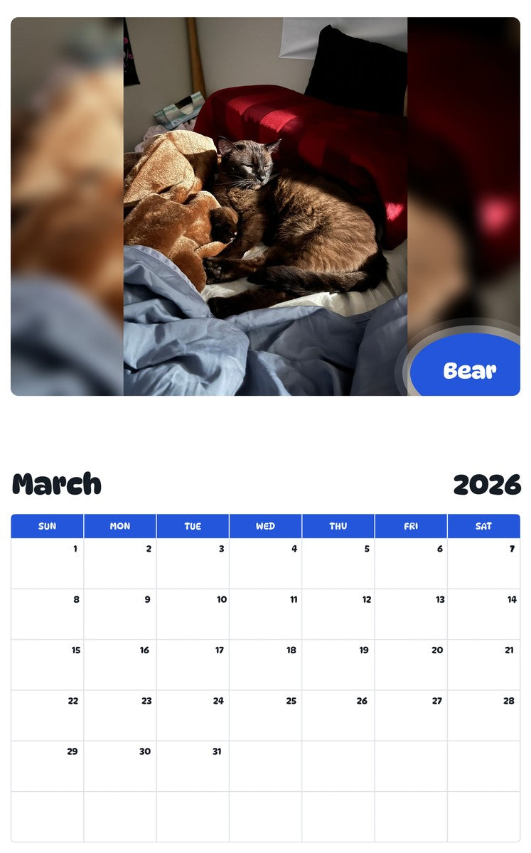 November 2025 - October 2026 Bear - Pawidols Pet Calendar