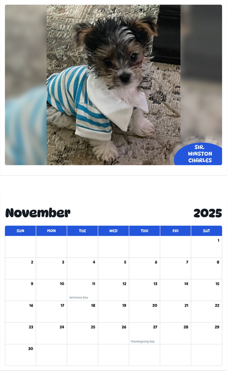 July 2025 - June 2026 Sir. Winston Charles - Pawidols Pet Calendar