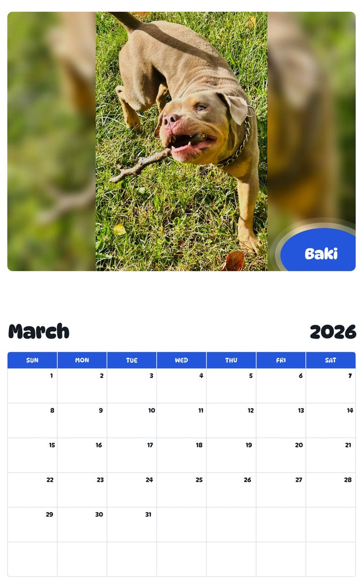 November 2025 - October 2026 Baki - Pawidols Pet Calendar