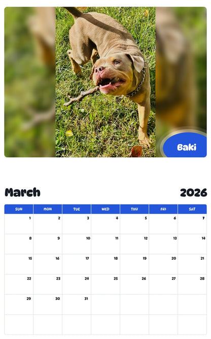 November 2025 - October 2026 Baki - Pawidols Pet Calendar
