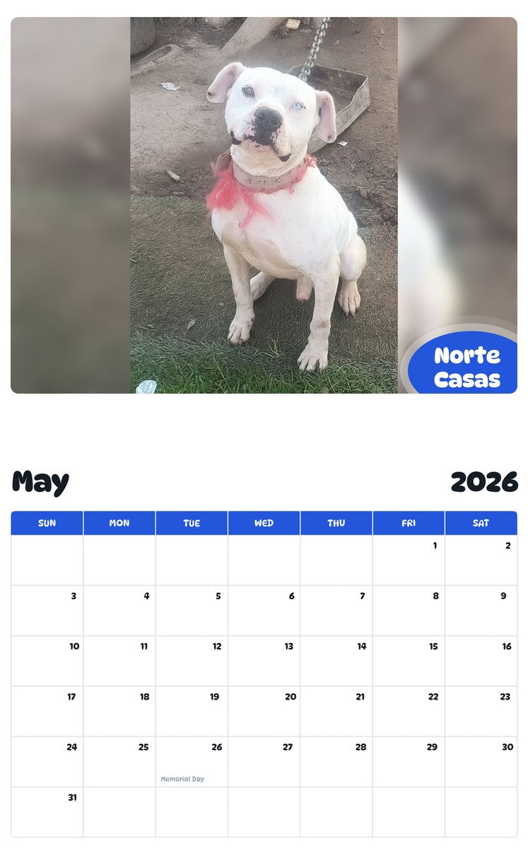 2026 - 2027 Norte Casas - Pawidols Pet Calendar