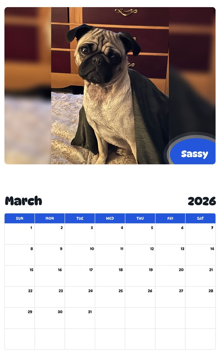 November 2025 - October 2026 Sassy - Pawidols Pet Calendar