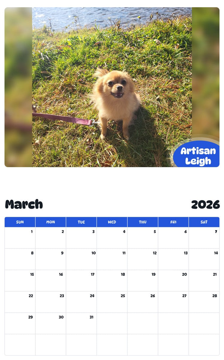 November 2025 - October 2026 Artisan Leigh - Pawidols Pet Calendar