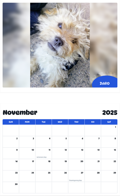 July 2025 - June 2026 Dabo - Pawidols Pet Calendar
