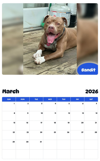 November 2025 - October 2026 Bandit - Pawidols Pet Calendar