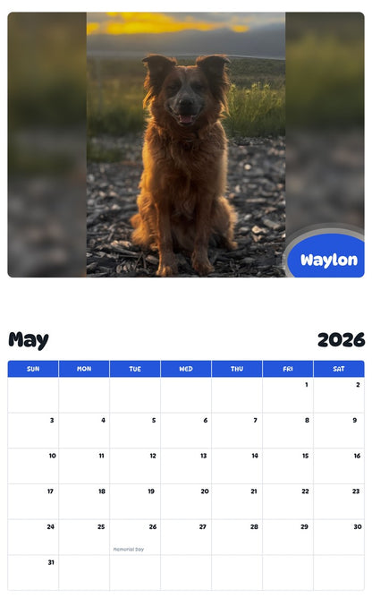 2026 - 2027 Waylon - Pawidols Pet Calendar
