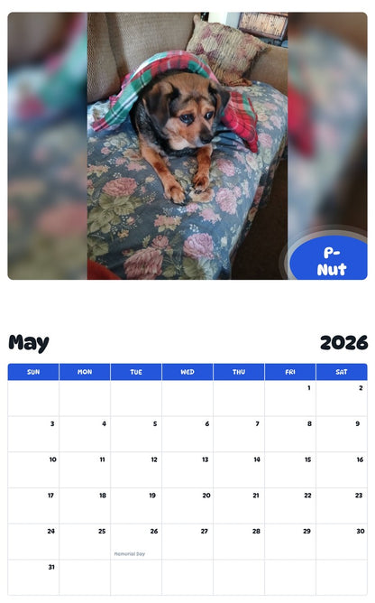 2026 - 2027 P-Nut - Pawidols Pet Calendar