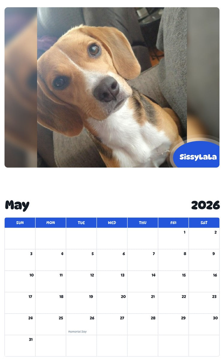 2026 - 2027 SissyLaLa - Pawidols Pet Calendar