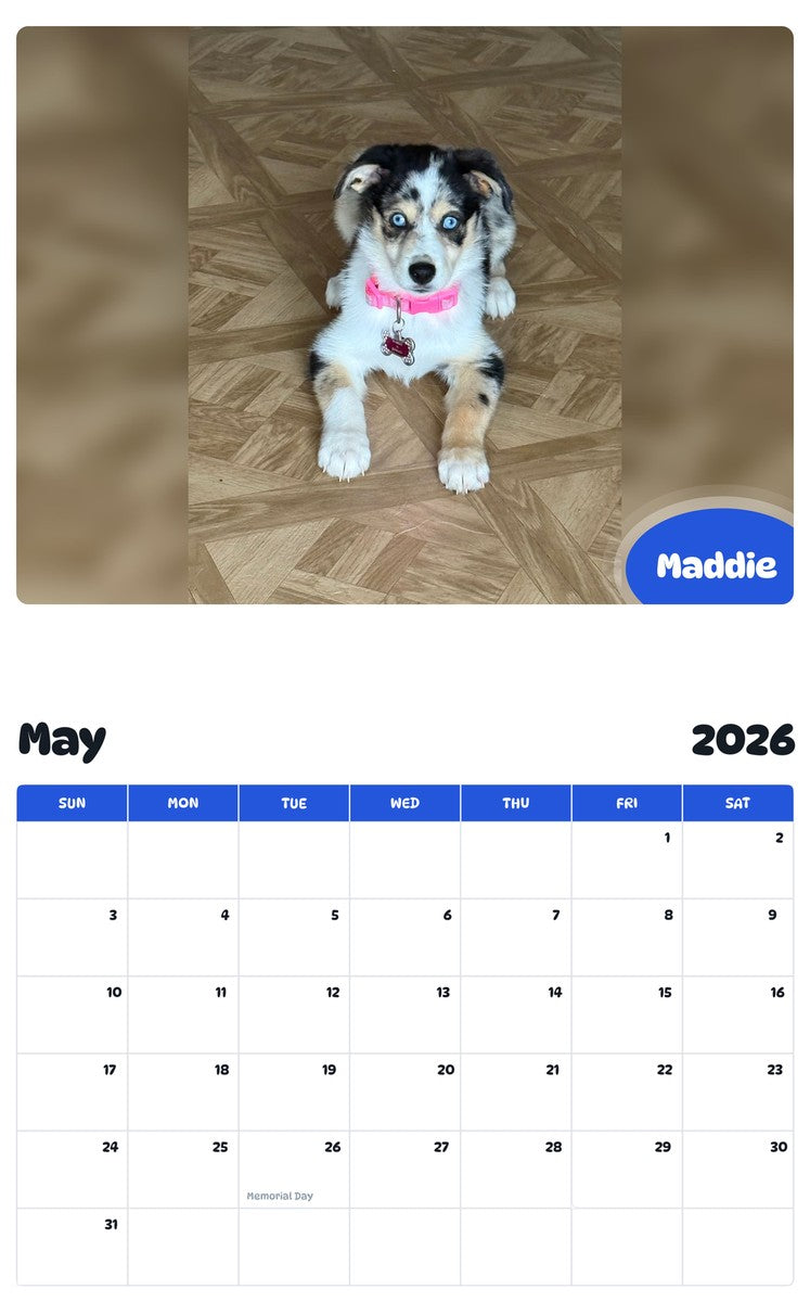 2026 - 2027 Maddie - Pawidols Pet Calendar