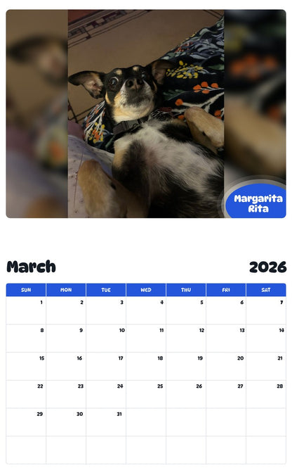 November 2025 - October 2026 Margarita Rita - Pawidols Pet Calendar