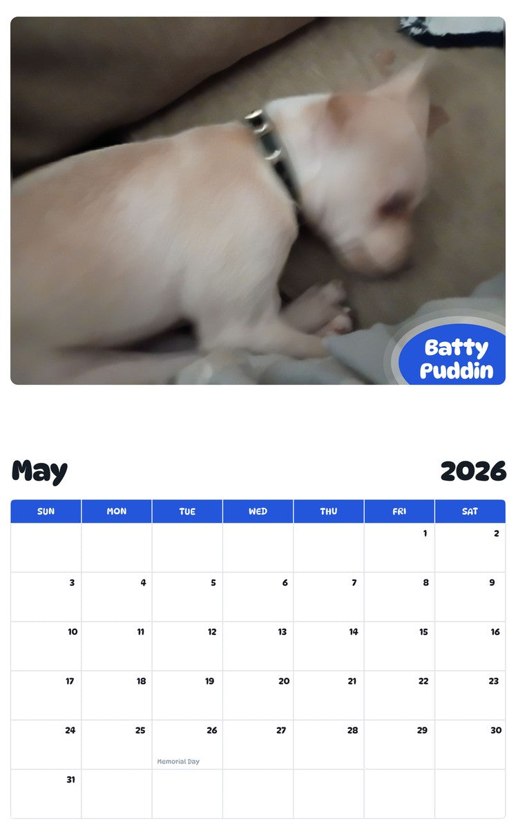 2026 - 2027 Batty Puddin - Pawidols Pet Calendar