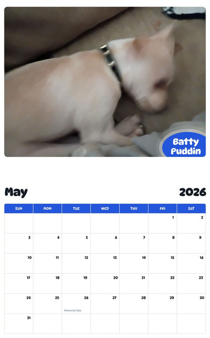 2026 - 2027 Batty Puddin - Pawidols Pet Calendar