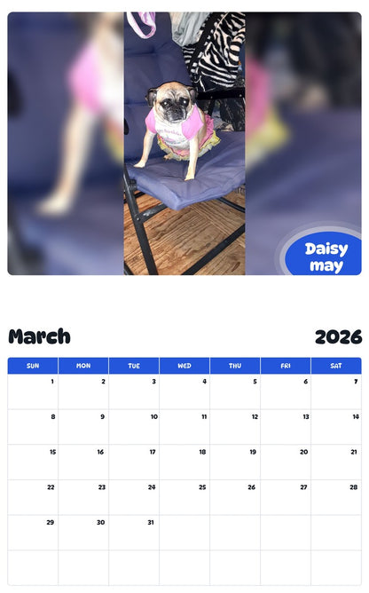 November 2025 - October 2026 Daisy may - Pawidols Pet Calendar