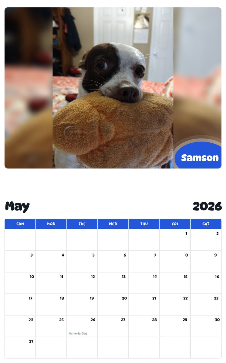 2026 - 2027 Samson - Pawidols Pet Calendar