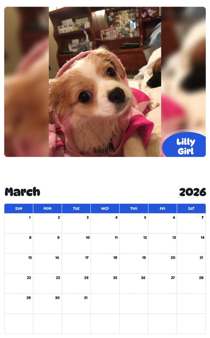 November 2025 - October 2026 Lilly Girl - Pawidols Pet Calendar