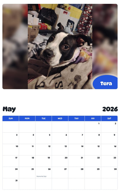 2026 - 2027 Tera - Pawidols Pet Calendar