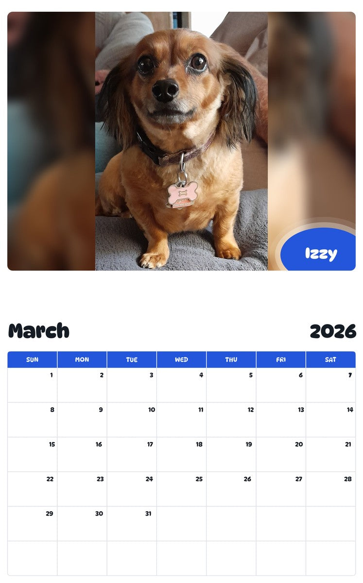 November 2025 - October 2026 Izzy - Pawidols Pet Calendar