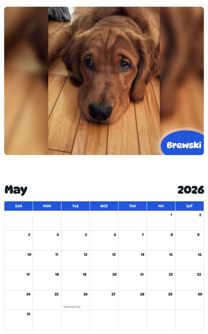 2026 - 2027 Brewski - Pawidols Pet Calendar
