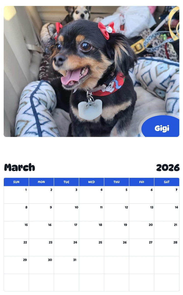 November 2025 - October 2026 Gigi - Pawidols Pet Calendar