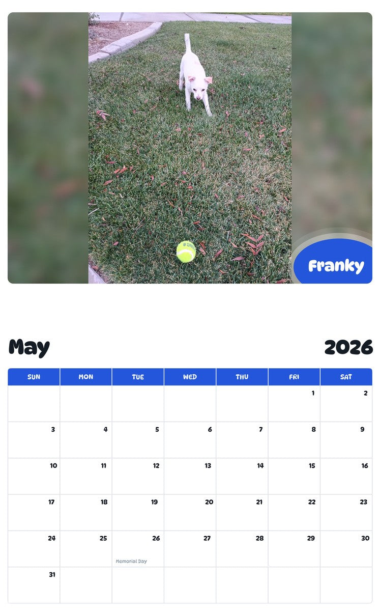 2026 - 2027 Franky - Pawidols Pet Calendar