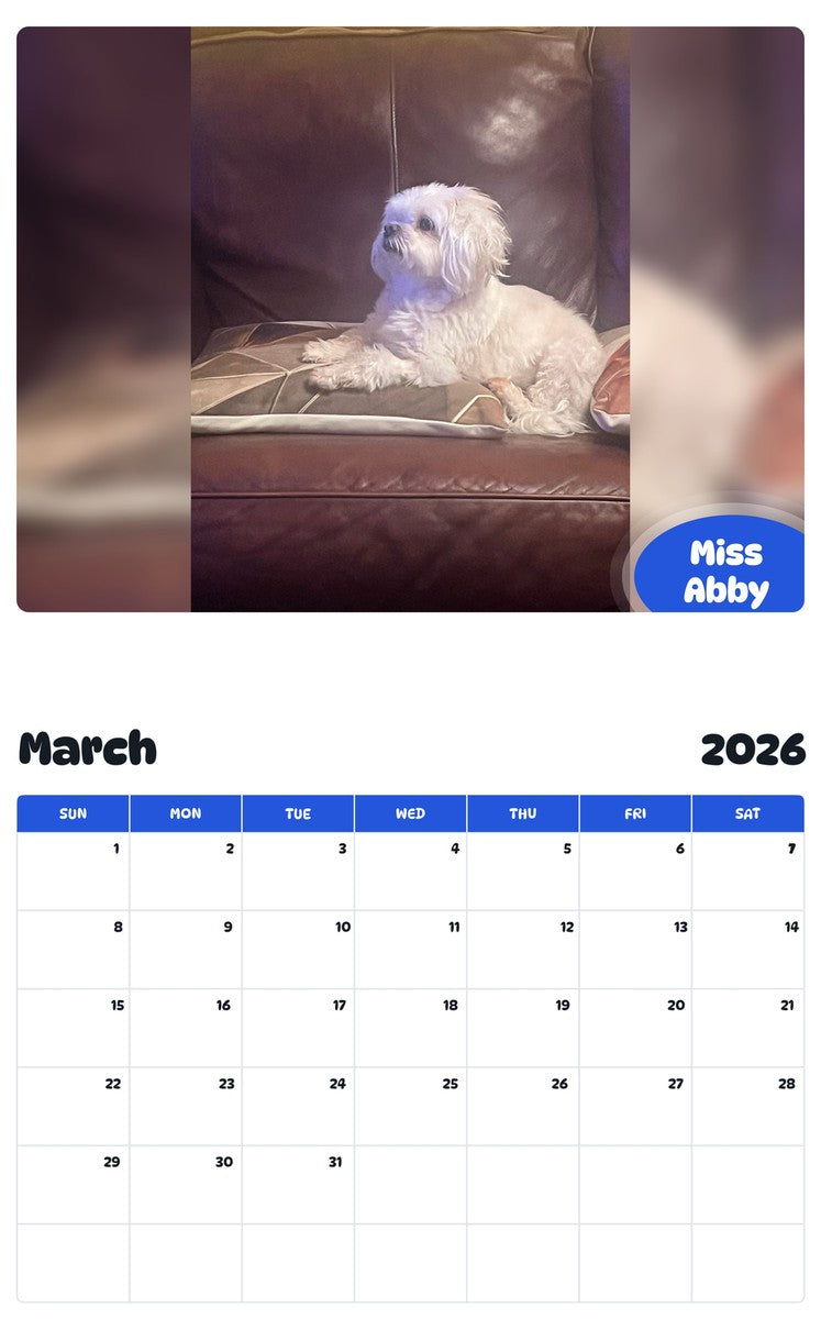 November 2025 - October 2026 Miss Abby - Pawidols Pet Calendar