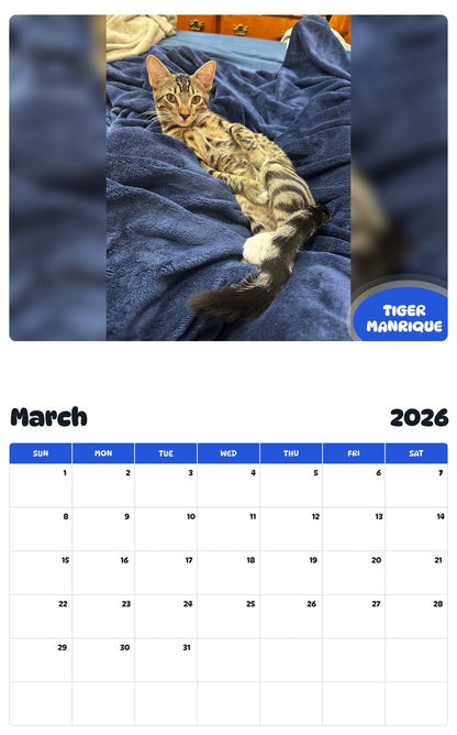 November 2025 - October 2026 TIGER MANRIQUE - Pawidols Pet Calendar