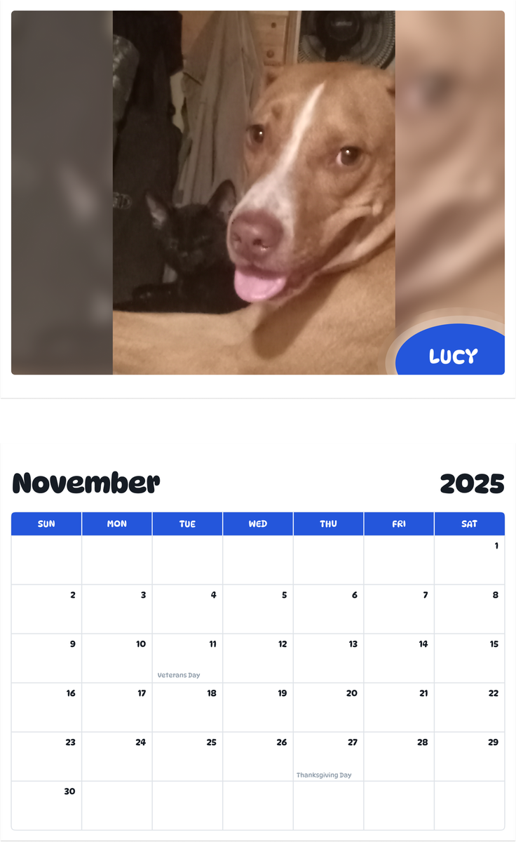 July 2025 - June 2026 Lucy - Pawidols Pet Calendar