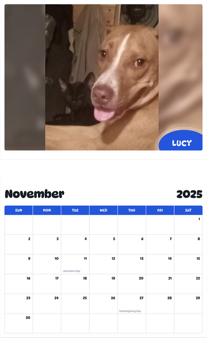 July 2025 - June 2026 Lucy - Pawidols Pet Calendar