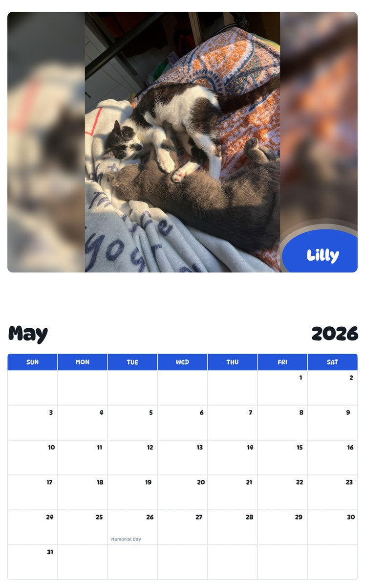 2026 - 2027 Lilly - Pawidols Pet Calendar