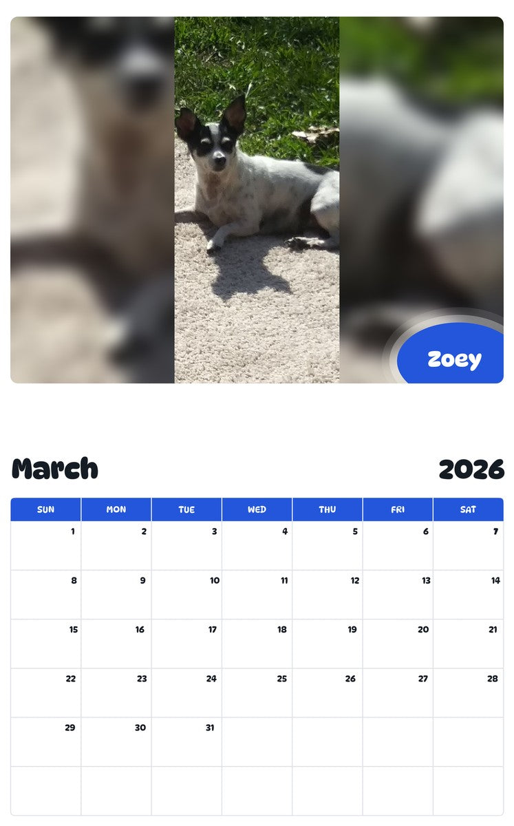 November 2025 - October 2026 Zoey - Pawidols Pet Calendar