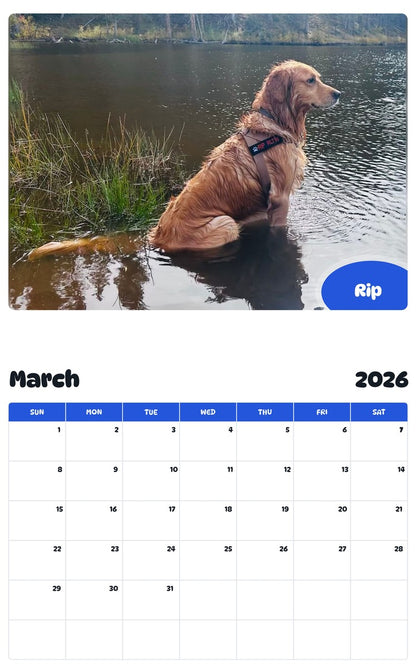 November 2025 - October 2026 Rip - Pawidols Pet Calendar