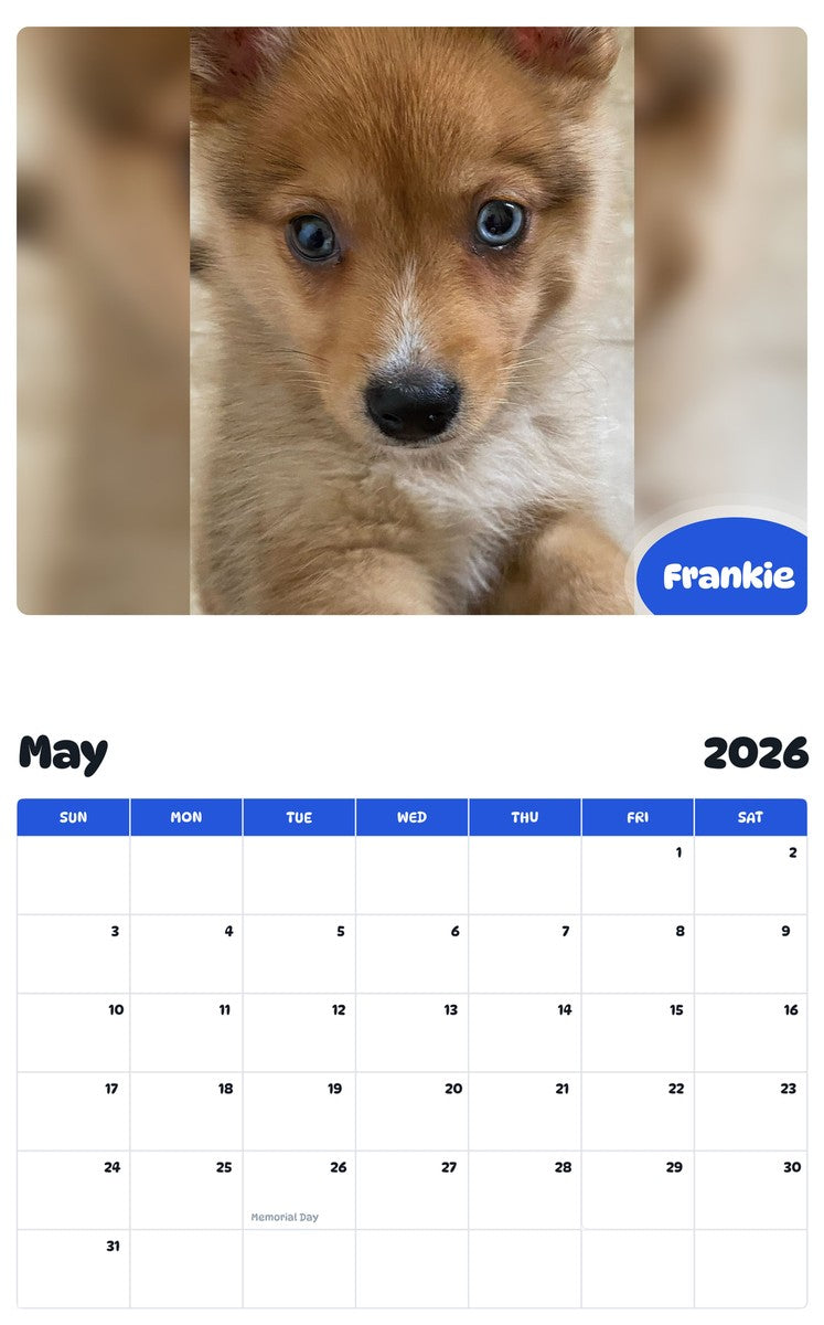 2026 - 2027 Frankie - Pawidols Pet Calendar