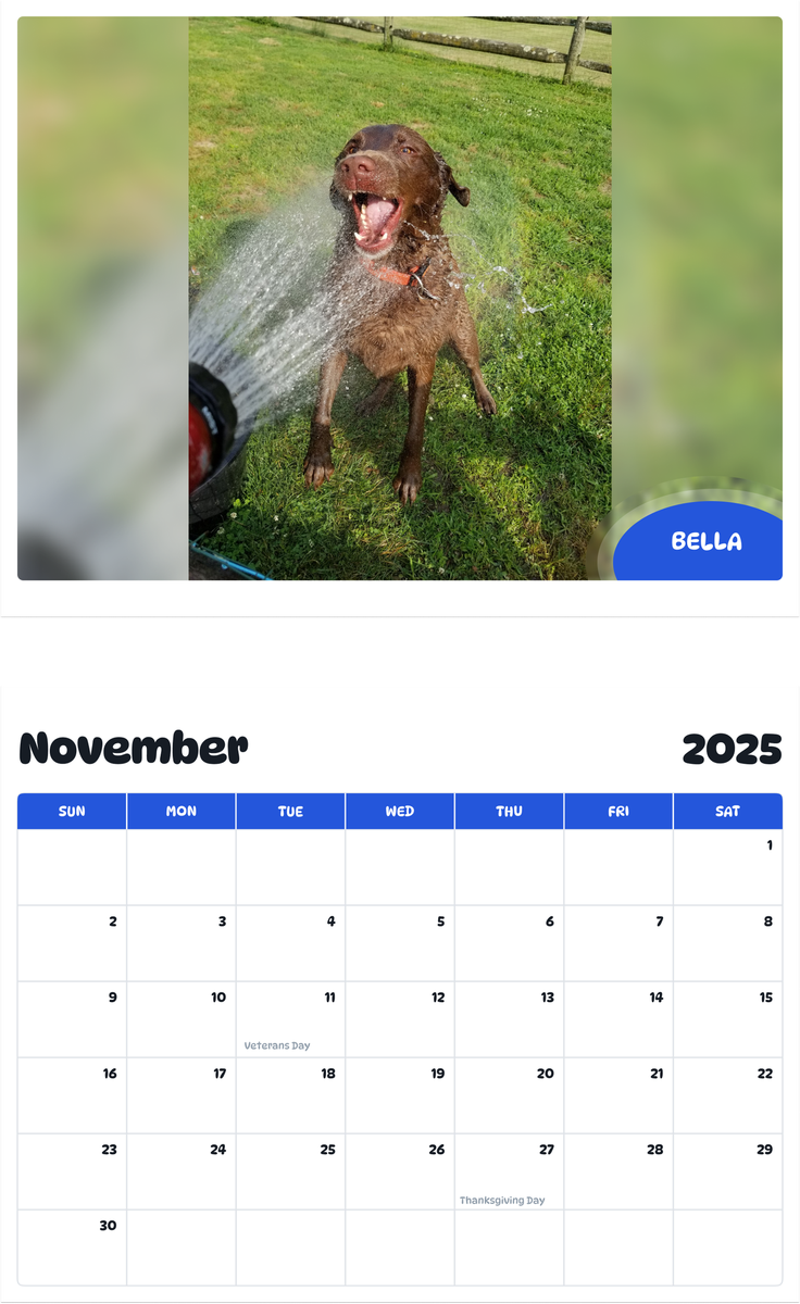 July 2025 - June 2026 Bella - Pawidols Pet Calendar