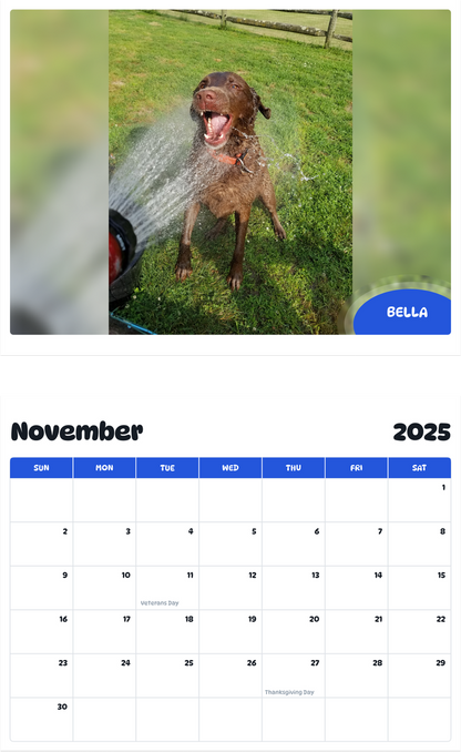 July 2025 - June 2026 Bella - Pawidols Pet Calendar