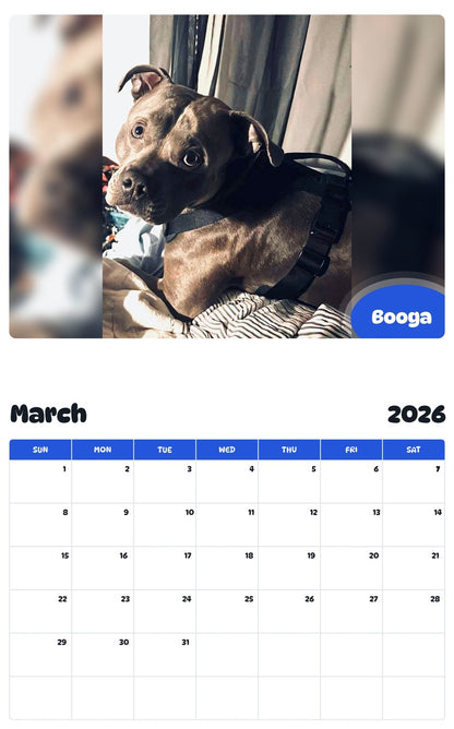 November 2025 - October 2026 Booga - Pawidols Pet Calendar