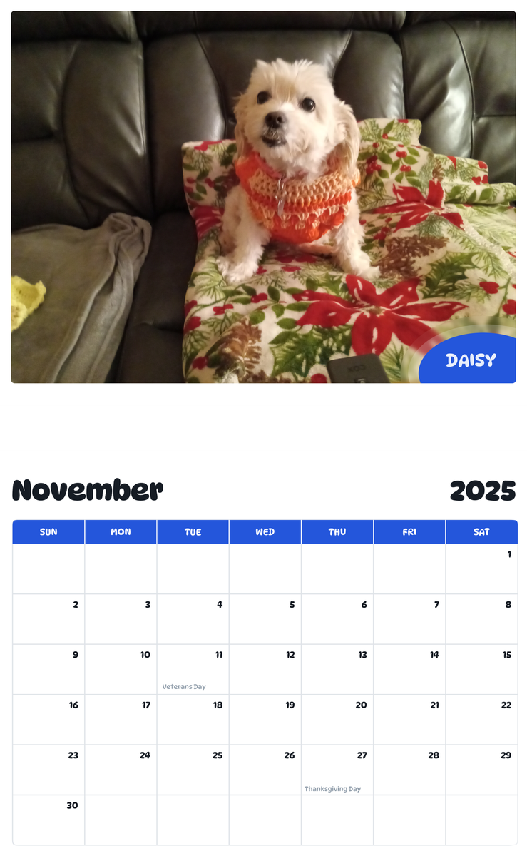 July 2025 - June 2026 Daisy - Pawidols Pet Calendar