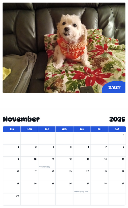 July 2025 - June 2026 Daisy - Pawidols Pet Calendar